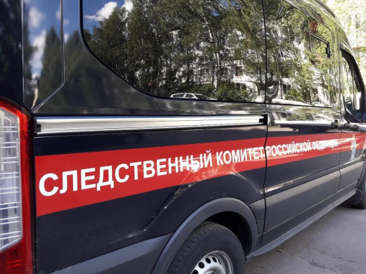 Воронежские следователи проводят проверку по факту гибели Миши Маваши