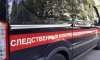 Воронежские следователи проводят проверку по факту гибели Миши Маваши