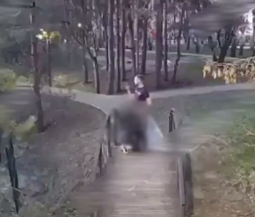 Устроивших оргию в парке под Воронежем извращенцев ищет полиция