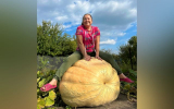 Жительница Воронежа вырастила гигантскую тыкву весом 260 кг