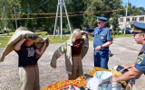 В Талдомском округе прошел масштабный урок безопасности для юных жителей