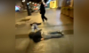 Бастрыкин проконтролирует инцидент с жуткой дракой в центре Воронежа