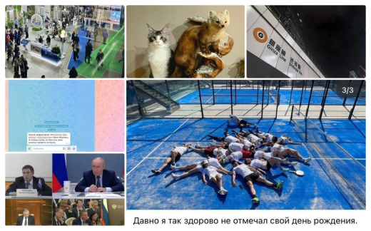 «Сливки соцсетей»: сватовство альпак, разговор с президентом и токийские прогулки