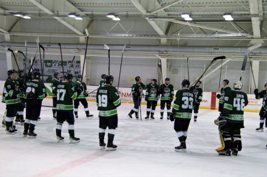 Хоккеисты из Воронежской области одержали три победы в очередном туре НМХЛ