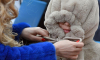 Синоптик Леус предупредил москвичей в возвращении холодных дней в апреле
