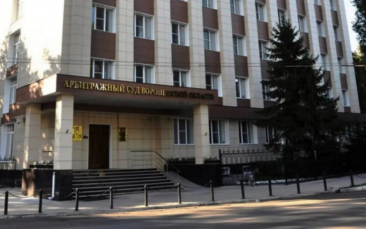 Воронежская судья Мальцева требует отменить разрешение на уголовное дело против себя