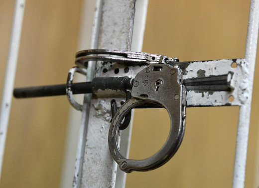 Жителя Москвы арестовали за развращение двух девочек в интернете