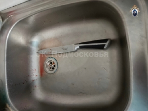 В городском округе Орехово-Зуево арестована местная жительница, обвиняемая в убийстве супруга