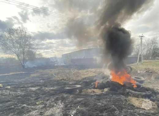 Сводка о палах травы в Московской области