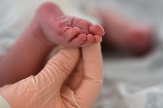 В Москве в список самых необычных имен 2025 года вошли Грач и Олимпиада