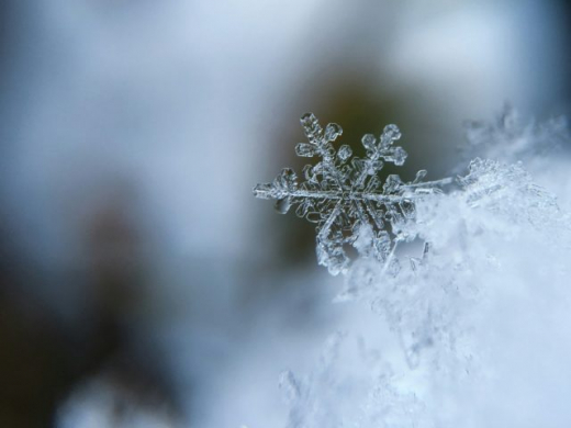 Морозы до -10 градусов вернутся в Воронежскую область к 8 марта