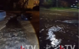 Жители улицы в Воронеже остались без воды на три дня из-за коммунальной аварии