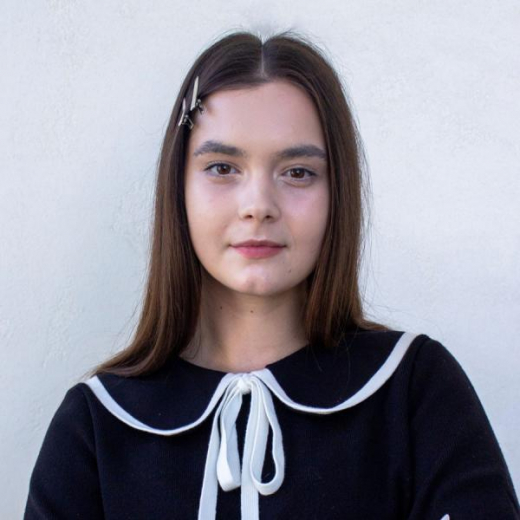 Зачем переходить на отечественные ТИМ-решения: практический опыт и уникальные кейсы