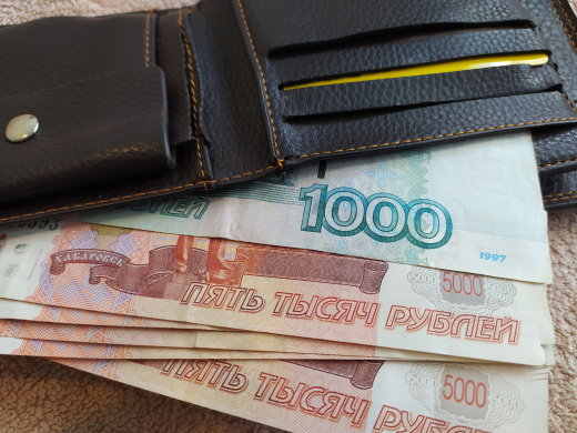 Россияне назвали желаемый доход за работу без отпусков и выходных