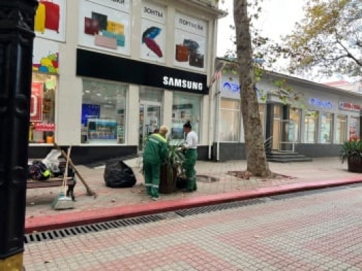 Чистят ливневки, облагораживают растения – в Керчи наводят порядки по ул. Ленина