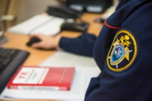Следователями СК организована проверка по сообщению в соцмедиа о нападении собаки на ребенка в Воронеже