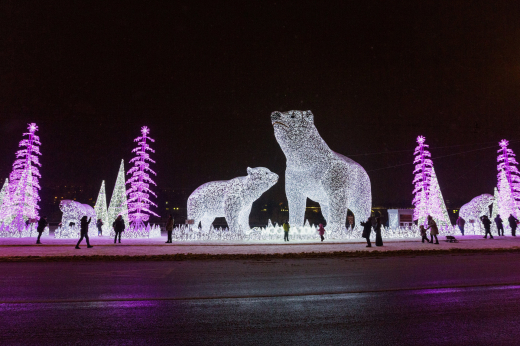Установка фигур «Полярные медведи» началась на северо-востоке Москвы