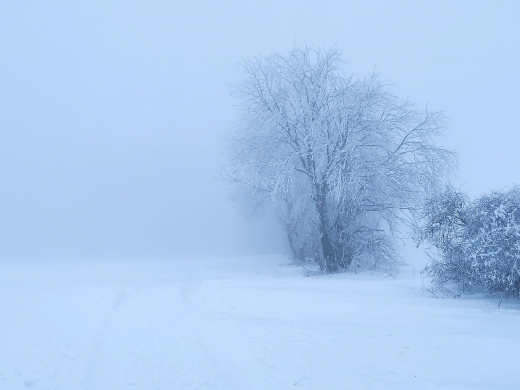 МЧС: В Москве 5 февраля ожидается туман и изморозь