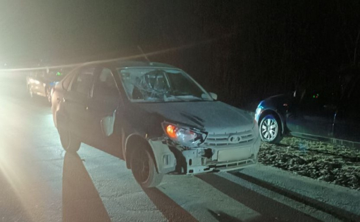 «Лада Гранта» насмерть сбила воронежца, который шёл по «встречке»