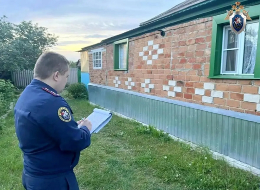 Воронежца, расправившегося с женой с помощью молотка и ножа, отправили в колонию