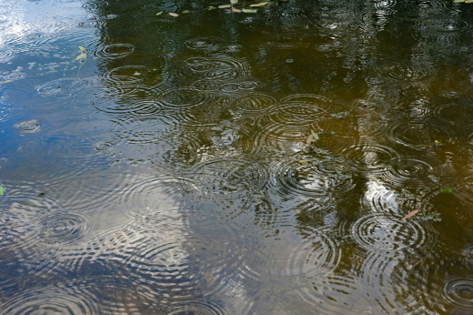 Тонувшего на Терлецком пруду мужчину подняли из воды и оказали ему первую помощь