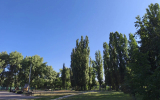 Прогноз погоды в Воронеже на четверг, 3 сентября