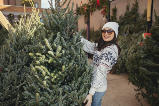 В Воронеже открылись ёлочные базары