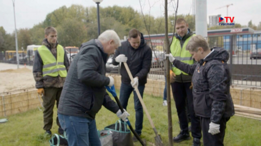 «Помогаем городу становиться лучше». Как в Воронеже прошёл большой осенний субботник