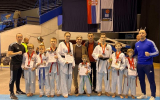 Воронежские тхэквондисты победили на международном турнире в Сербии