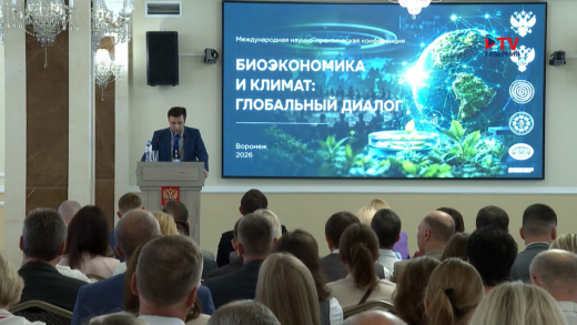 Воронежский тополь-гигант, спасающий экологию, заинтересовал инвесторов
