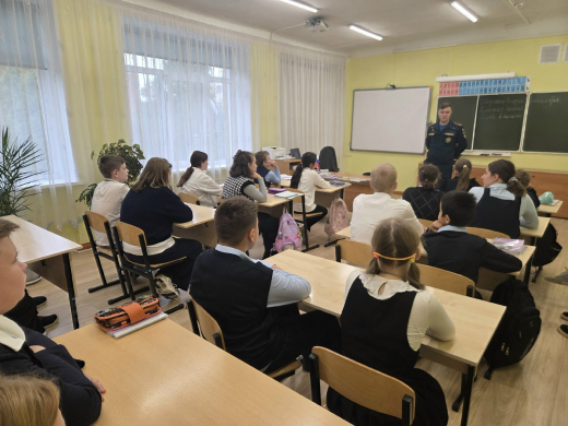 Осенне-зимний период - время повышенной внимательности: в ступинской школе №10 прошел урок безопасности