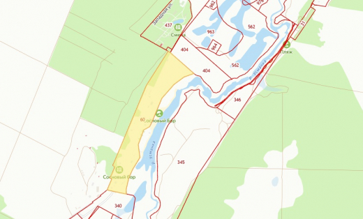 Землю на берегу Усманки в Воронеже выставили на продажу за полмиллиарда рублей