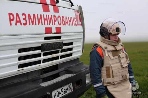 816 взрывоопасных предметов было обезврежено с начала года