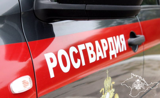 Росгвардия пресекла ряд правонарушений в Крыму и Севастополе
