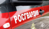 Росгвардия пресекла ряд правонарушений в Крыму и Севастополе