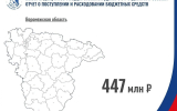 Расходы на выборы депутатов Госдумы в Воронежской области составили 447 млн рублей