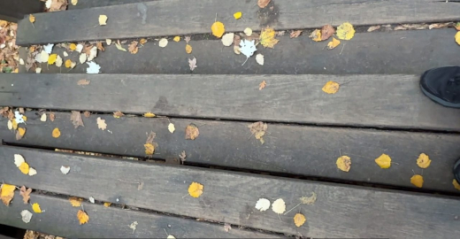 Лестница в Центральном парке Воронежа стала опасной