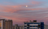 Метеоролог Михаил Леус: В Москву пришли тропические ночи