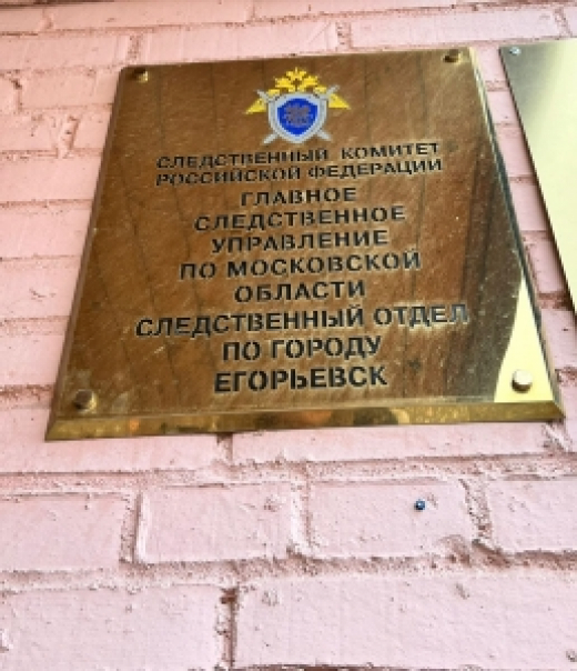 В Шатуре расследуется уголовное дело по факту причинения повреждений ребенку в результате нападения собаки