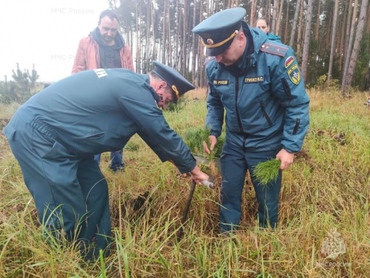 В Луховицах сотрудники МЧС приняли участие в акции «Сохраним лес»