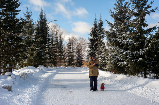 Тишковец: Наступление метеорологической зимы в Москве откладывается на неделю