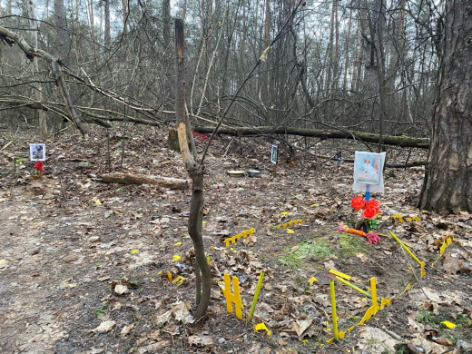 Могилы раскопали на кладбище домашних животных в Воронеже