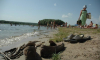 Шесть воронежских пляжей признали опасными для купания