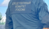 В Химках возбуждено уголовное дело о покушении на убийство ребенка на территории аэропорта