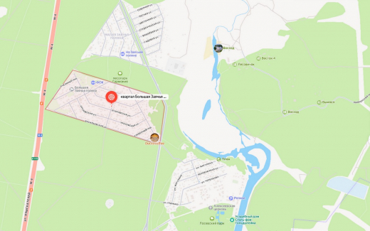 Общественные слушания по скандальной земле в воронежском Репном состоялись, несмотря на возражения участников