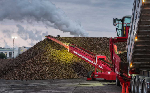 «Продимекс» убрал 98% от плановой площади сахарной свеклы в Воронежской области