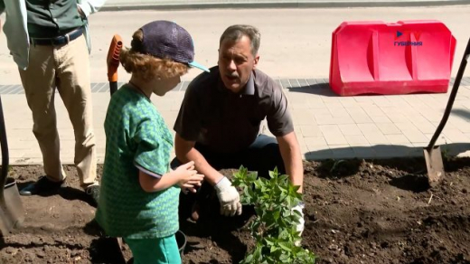 Депутат городской Думы помог украсить центр Воронежа кустами разноцветных гортензий