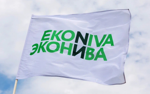 Выручка «ЭкоНивы» выросла за год на 29%