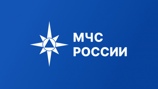 МЧС России создает единую цифровую систему для управления силами и средствами пожарно-спасательных гарнизонов