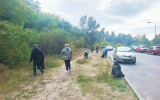 Как проходит месячник благоустройства в Воронеже